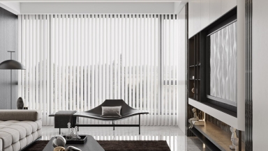 龍川悅府（現(xiàn)代）—舒曉夏